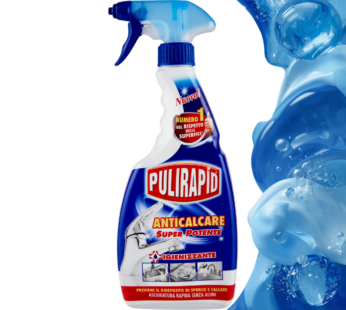 PULIRAPID SPRAY 500ML CLASSICO