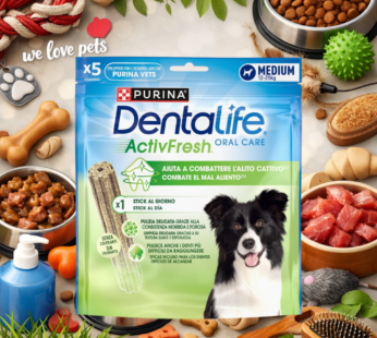DENTALIFE ACTIVEFRESH MEDIUM SNACK DENTALE 142GR