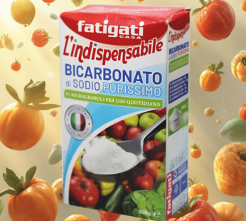 FATIGATI BICARBONATO DI SODIO 1KG