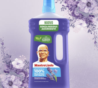 MASTROLINDO PAVIMENTI 930ML LAVANDA