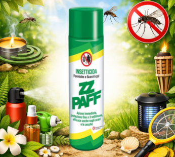 ZZPAFF SPRAY 300ML SCARAFAGGI & FORMICHE