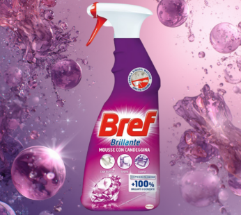 BREF BRILLANTE SPRAY 650ML CANDEGGINA