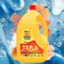 TERS AMMONIACA 4 LITRI