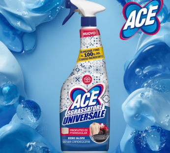ACE SGRASSATORE SPRAY 600ML MARSIGLIA