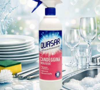 QUASAR SPRAY 580ML SGRASSATORE C/CANEGGINA