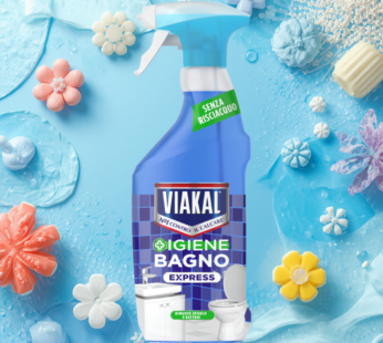 VIAKAL SPRAY 470ML EXPRESS IGIENE