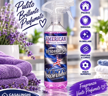 AMERICAN SPRAY TUTTOFARE 600ML VENTO PROFUMATO